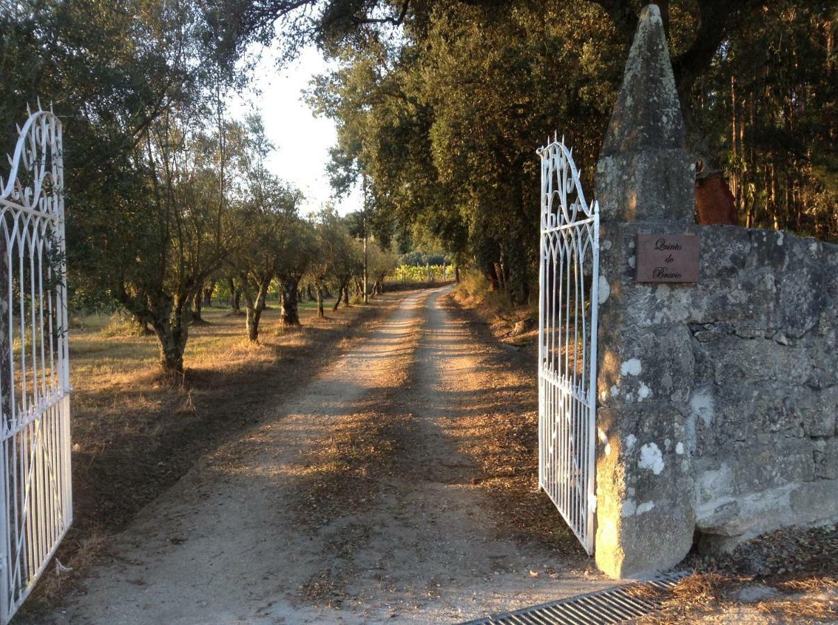 Farm stay Quinta Do Bravio